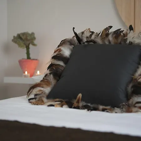 Graca - Castle | Cheese & Wine